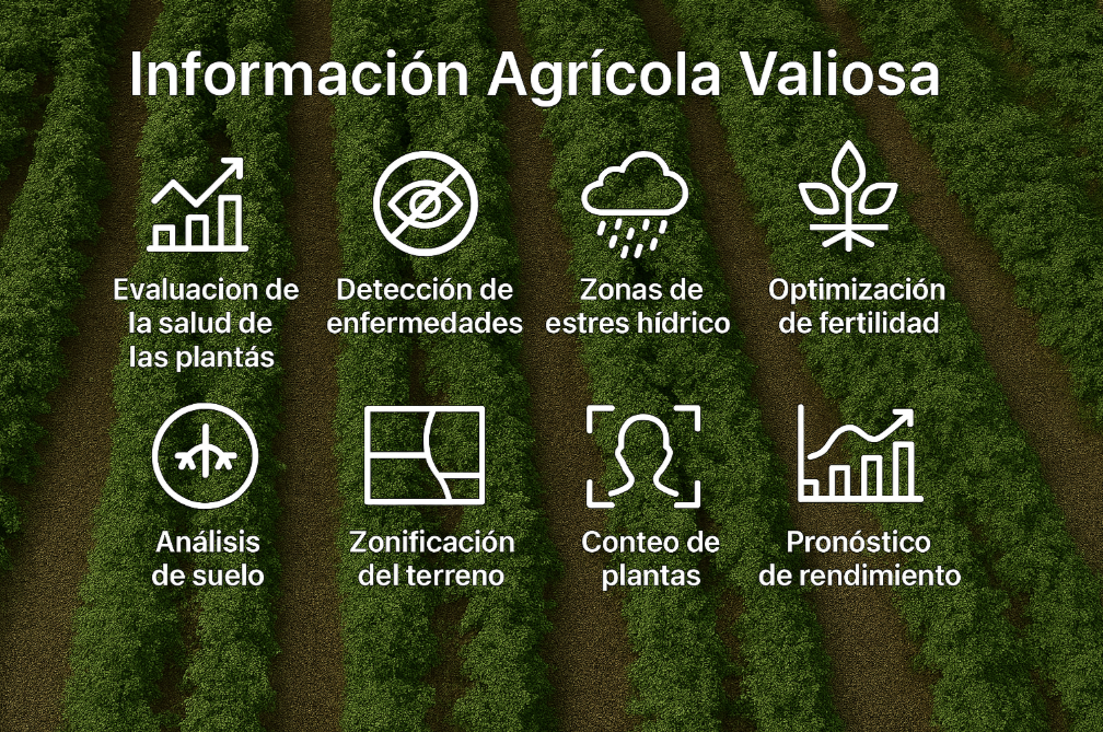 Captura De Pantalla 2025 09 26 A Las 16.29.54