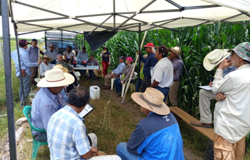 asesoria en agroecologia