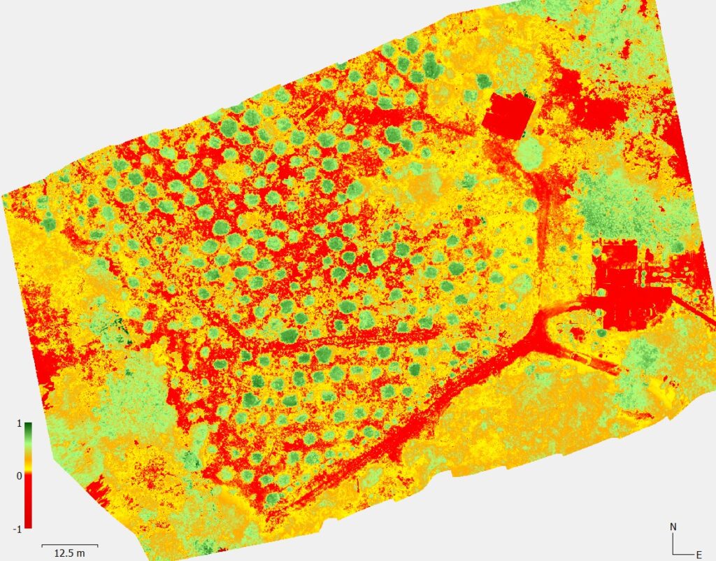 whatsapp image 2025 11 05 at 21.16.39 whatsapp image 2025 11 05 at 21.16.39